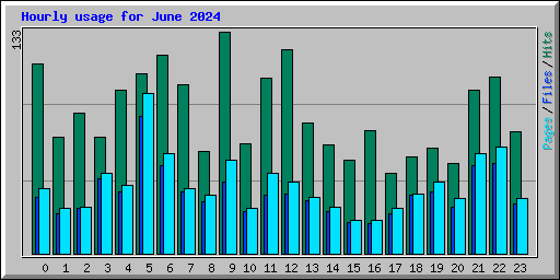 Hourly usage for June 2024