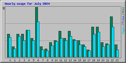 Hourly usage for July 2024